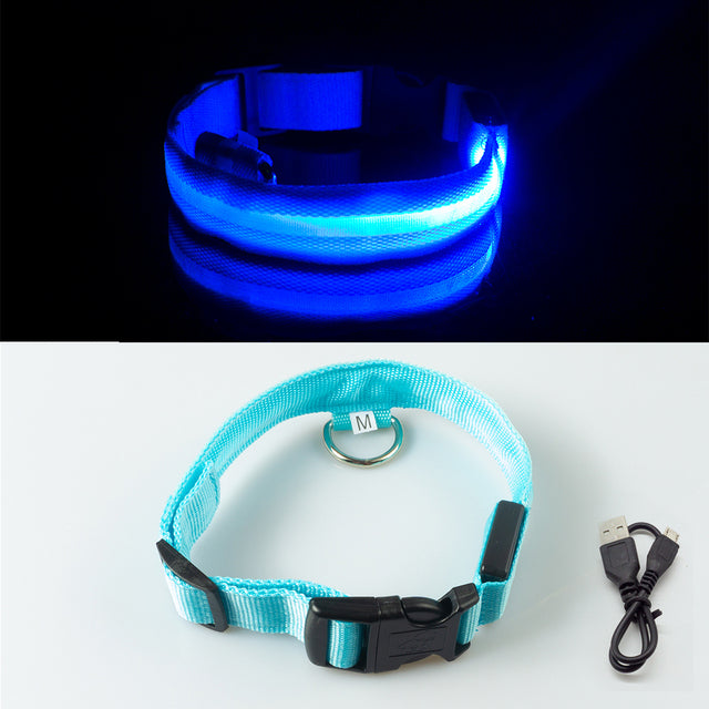 USB Charging/Battery Replacement Led Dog Collar Anti-Lost Collar for Dogs Puppies Dog Collars Leads LED Supplies Pet Products