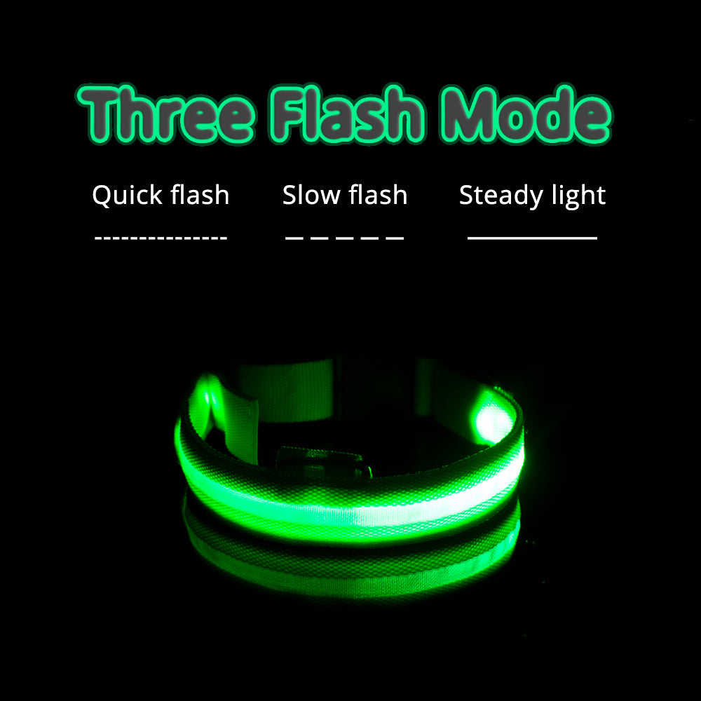 USB Charging/Battery Replacement Led Dog Collar Anti-Lost Collar for Dogs Puppies Dog Collars Leads LED Supplies Pet Products